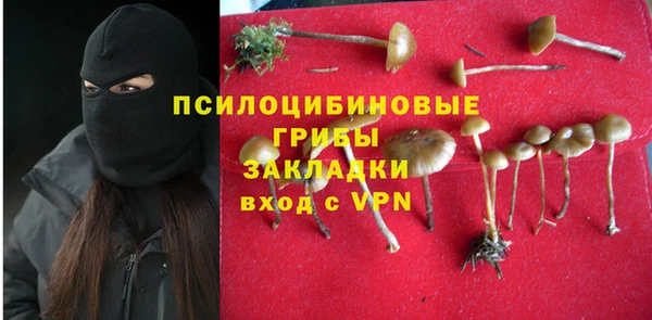 трава Балахна
