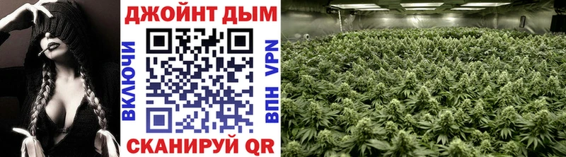 закладка  Соль-Илецк  ОМГ ОМГ ТОР  Каннабис Ganja 
